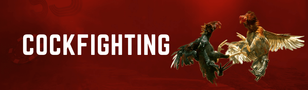 Cockfighting banner