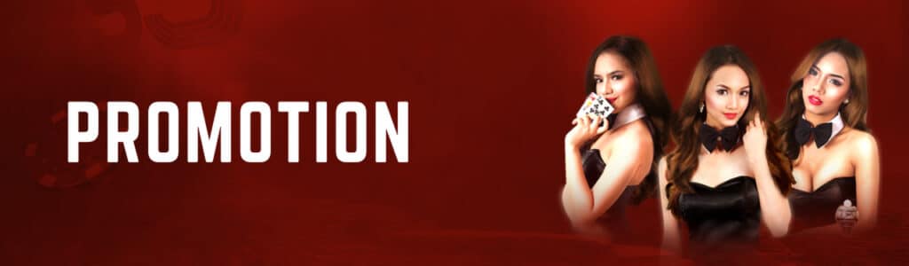 Promotion Banner